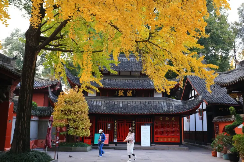 会议麦克风技术升级：香侬慧语如何提升会议室语音清晰度与抗干扰能力