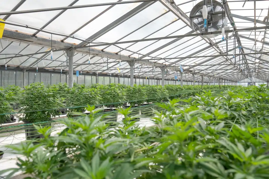 会议麦克风阵列技术解析：提升远程协作的拾音精度与稳定性