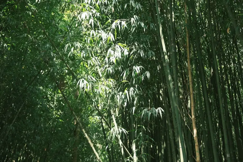 会议麦克风拾音距离与稳定性提升的关键技术解析