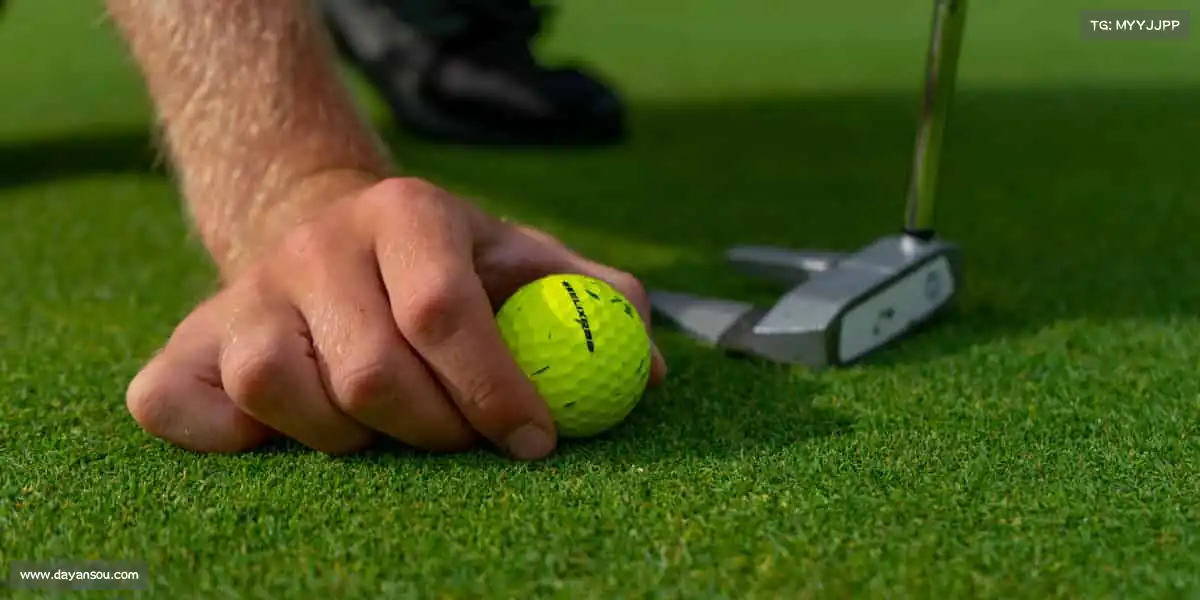 为什么选择我们